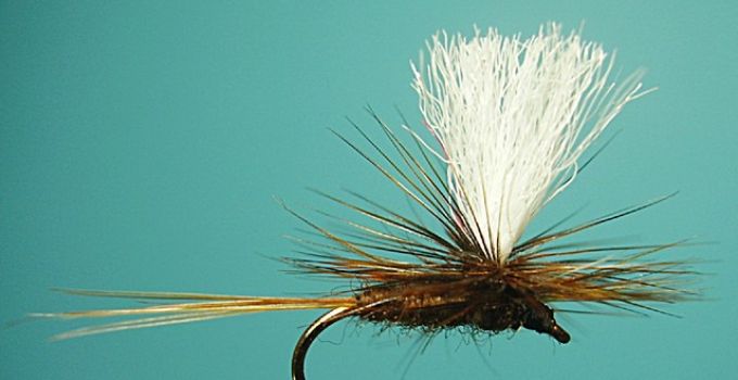 Darkbrown Parachute -Represents a lot of smaller Mayflies